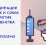 В Конаковском округе будут бесплатно прививать домашних животных от бешенства - KonakovoGrad.Ru